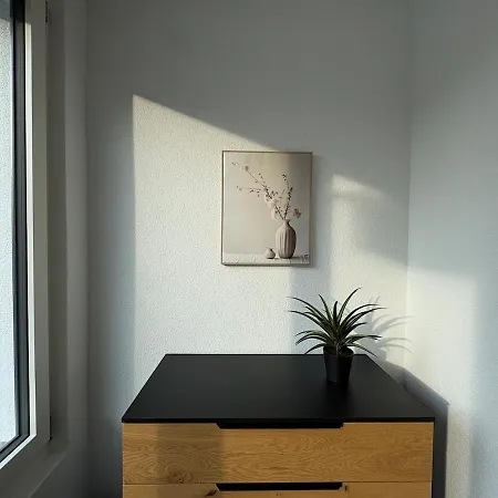 Alpine Loft אינטרלאקן